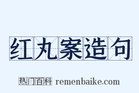 红丸案造句是什么意思的图片